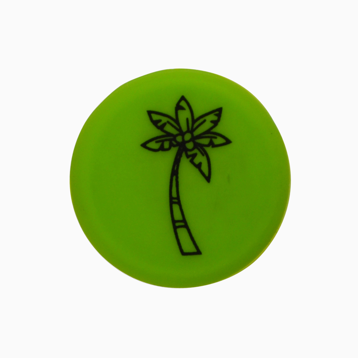 Palm Tree