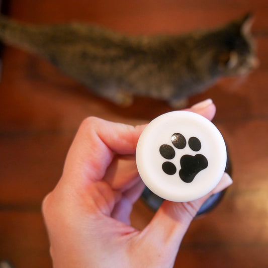 White Paw
